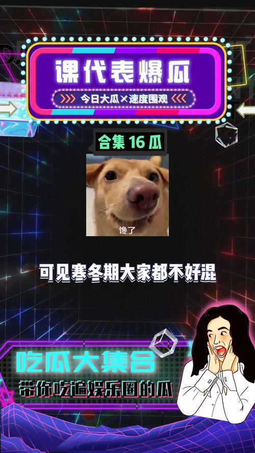 娱乐八卦吃瓜网站大全,带你畅游娱乐圈