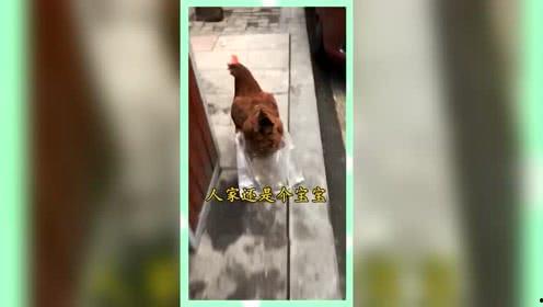 娱乐吃瓜群众素材图片,明星幕后故事大揭秘
