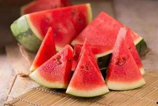 娱乐吃菌瓜,探寻娱乐与美食的完美融合