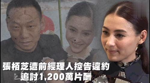 娱乐吃瓜不停,吃瓜不停，揭秘明星幕后故事