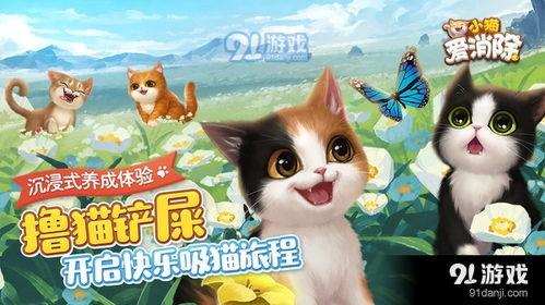 娱乐吃瓜酱游戏小猫,游戏小猫的趣味冒险之旅