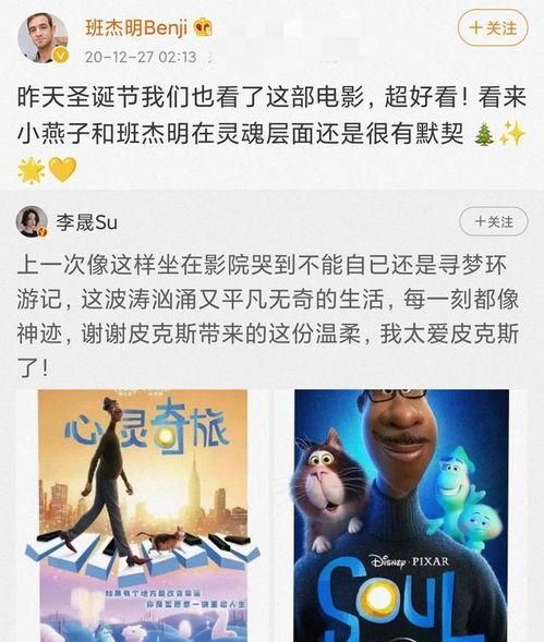 娱乐吃瓜求婚小说推荐知乎,小说中的甜蜜惊喜揭秘