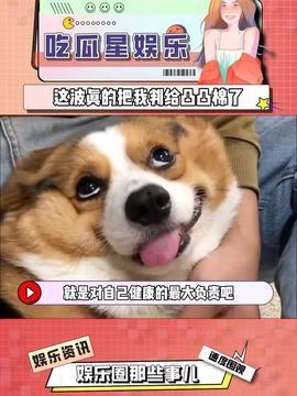 娱乐吃瓜酱忠犬,吃瓜酱的忠实伴侣