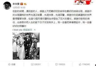 娱乐圈吃瓜ppt事件,揭秘幕后真相与影响