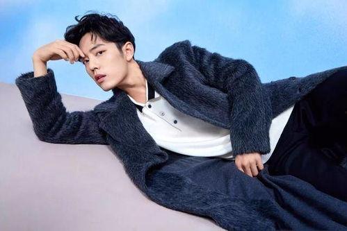 爱豆娱乐吃瓜酱肖战,爱豆娱乐吃瓜酱背后的故事