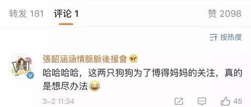 吃瓜娱乐帝,揭秘娱乐圈幕后故事