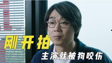 娱乐吃瓜君上榜,揭秘娱乐圈幕后风云，盘点热门事件背后的真相