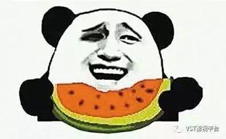 娱乐吃瓜君抹黑他人,真相背后令人震惊