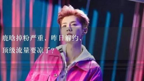 娱乐吃瓜解说,揭秘明星幕后故事，吃瓜群众必备攻略