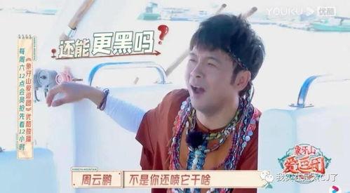 凯哥娱乐吃瓜,揭秘娱乐圈最新吃瓜事件，带你领略明星幕后故事