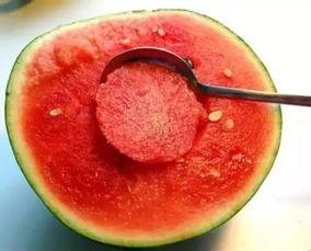 娱乐吃瓜酱花期