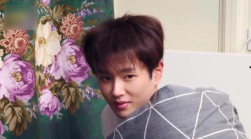 娱乐吃瓜酱少爷是谁啊