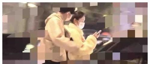 吃瓜大娱乐段奕宏,吃瓜大娱乐，揭秘娱乐圈幕后风云