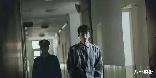 娱乐圈吃瓜恐怖