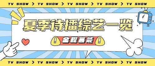 娱乐吃瓜的营销号