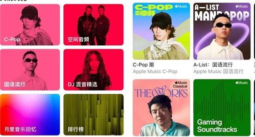 娱乐吃瓜君的背景音乐,跟随节奏，畅游娱乐圈的欢乐海洋