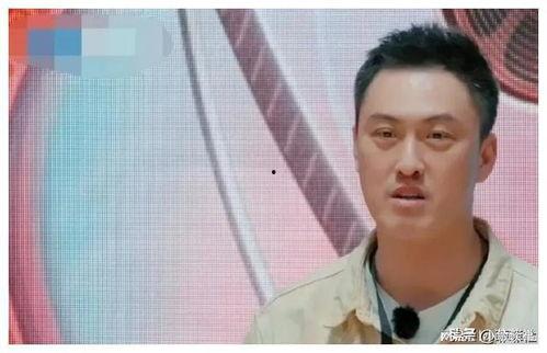 娱乐圈吃瓜99,揭秘“吃瓜99”背后的真相与内幕