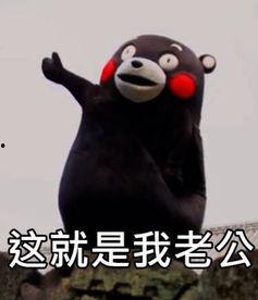 娱乐吃瓜呱,揭秘“吃瓜呱”背后的故事